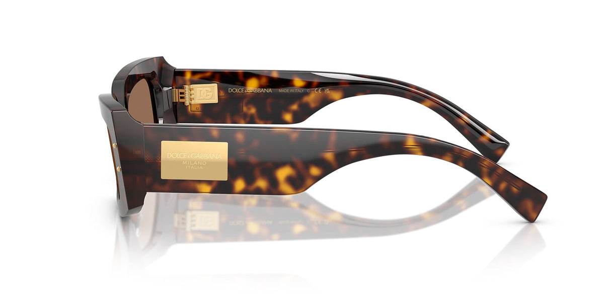 Dolce&Gabbana DG4479 502/73 Sunglasses