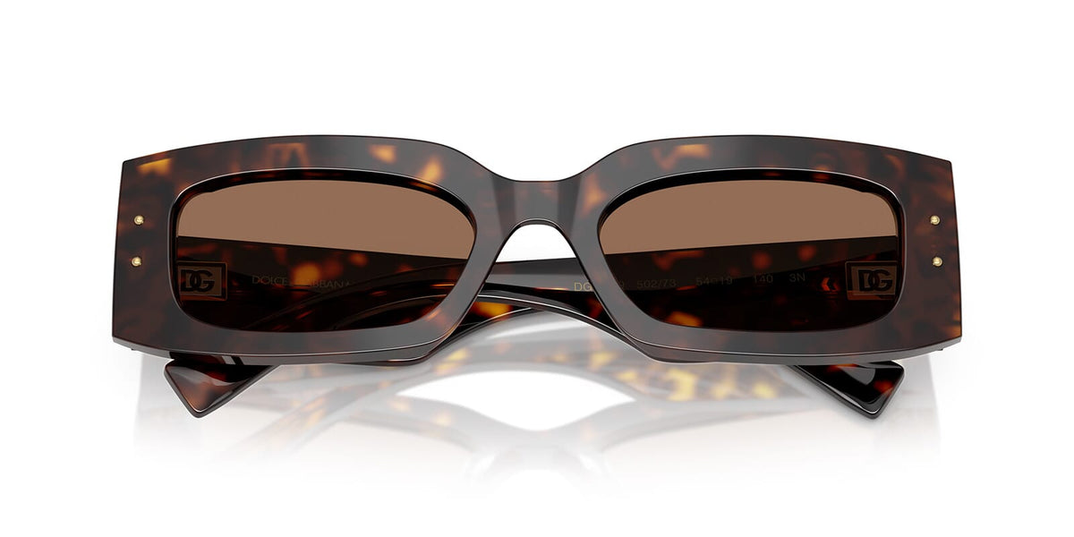 Dolce&Gabbana DG4479 502/73 Sunglasses