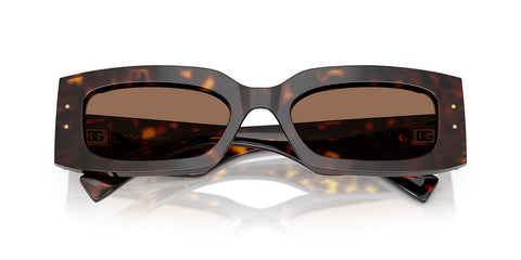 Dolce&Gabbana DG4479 502/73 Sunglasses