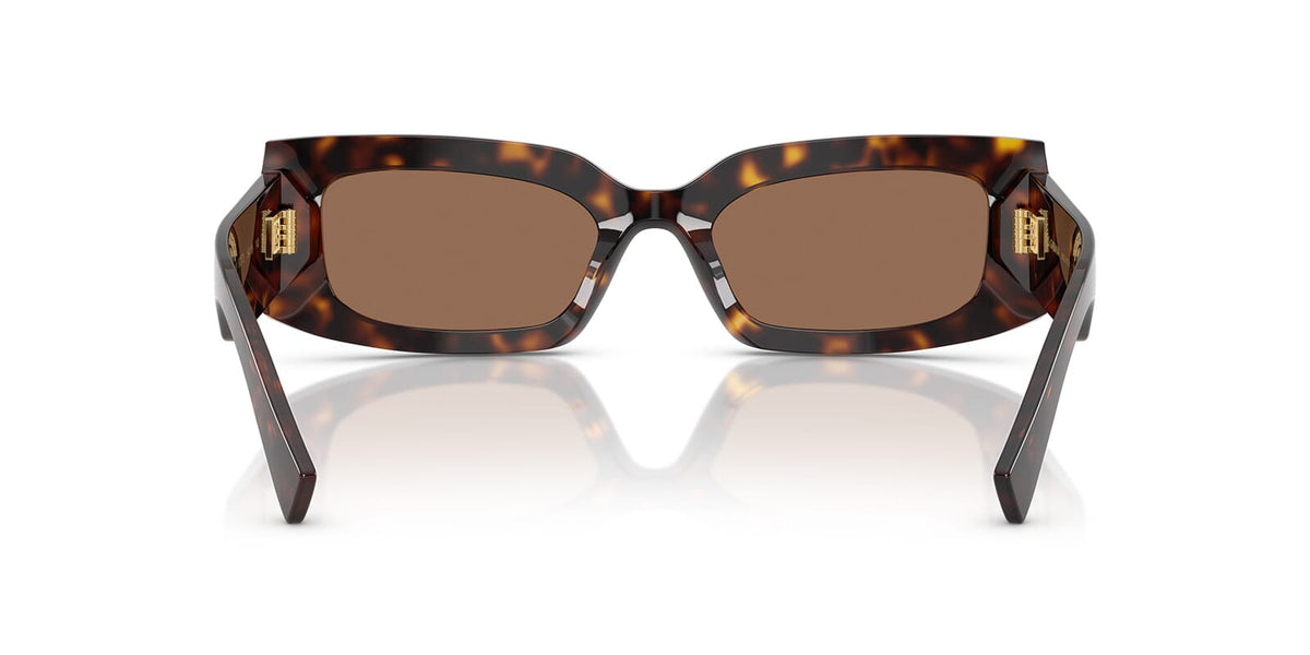 Dolce&Gabbana DG4479 502/73 Sunglasses