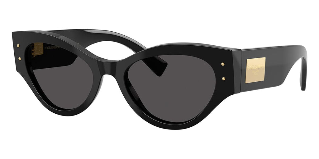 Dolce&Gabbana DG4480 501/87 Sunglasses