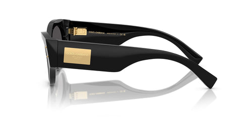 Dolce&Gabbana DG4480 501/87 Sunglasses