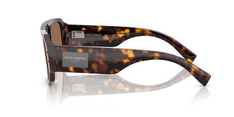 Dolce&Gabbana DG4482 502/73 Sunglasses