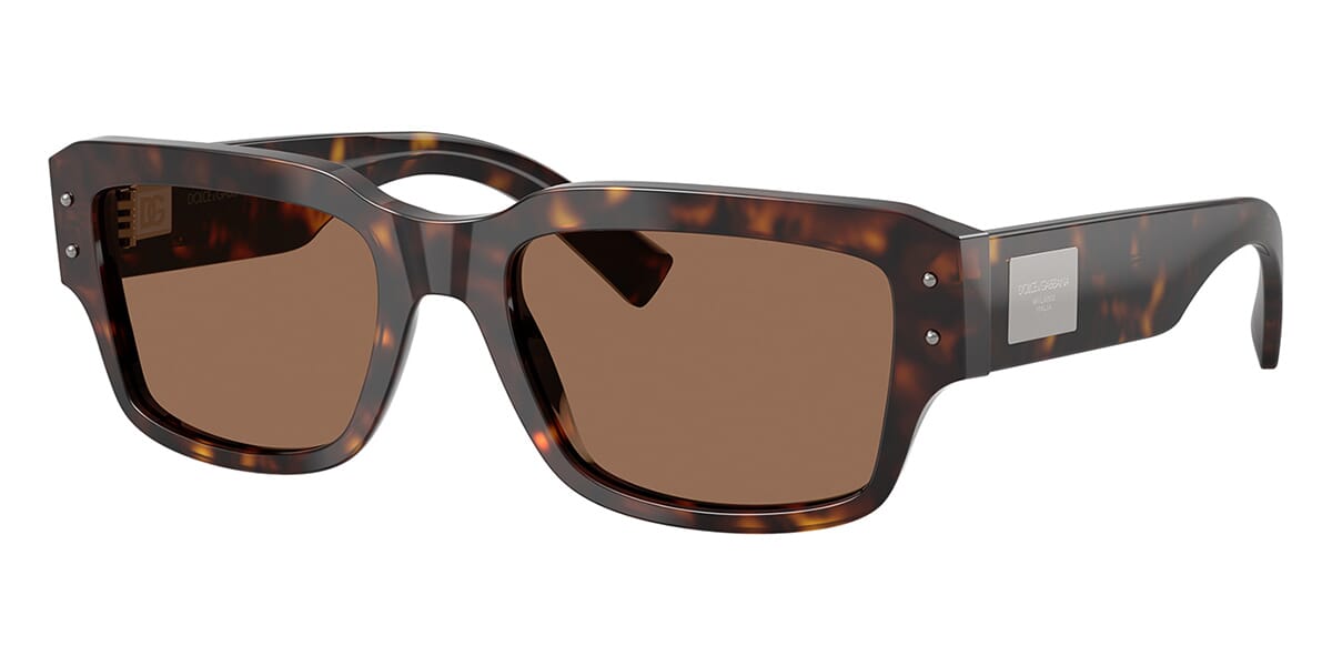Dolce&Gabbana DG4483 502/73 Sunglasses