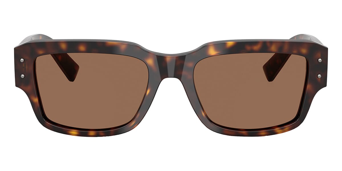 Dolce&Gabbana DG4483 502/73 Sunglasses