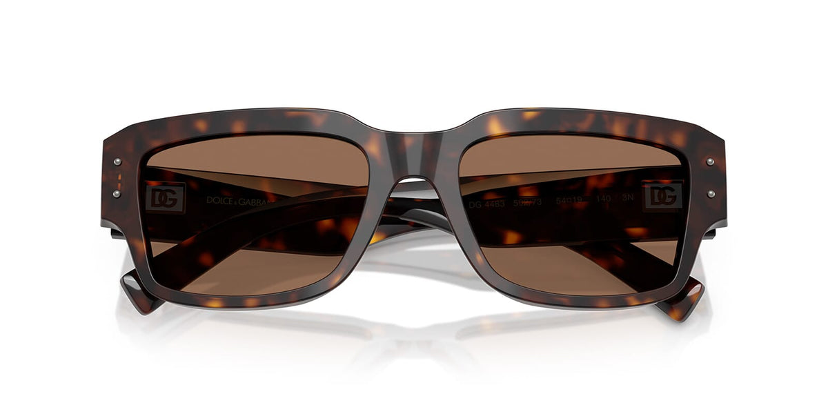 Dolce&Gabbana DG4483 502/73 Sunglasses
