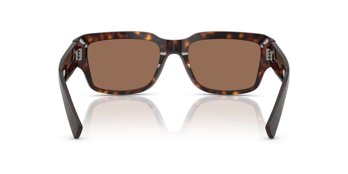 Dolce&Gabbana DG4483 502/73 Sunglasses