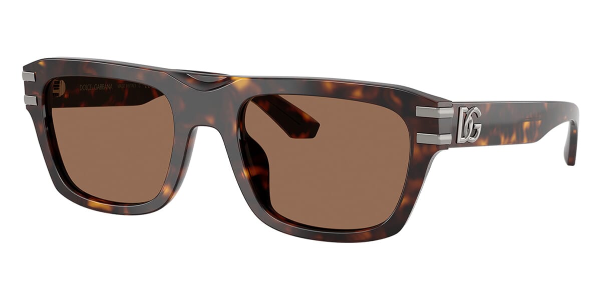 Dolce&Gabbana DG4496 502/73 Sunglasses