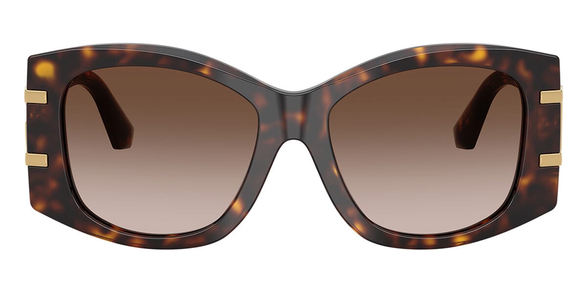 Dolce&Gabbana DG4501 502/13 Sunglasses