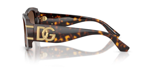 Dolce&Gabbana DG4501 502/13 Sunglasses