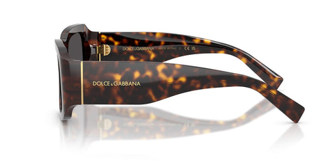 Dolce&Gabbana DG4503 502/87 Sunglasses