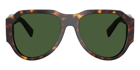 Dolce&Gabbana DG4504 502/71 Sunglasses