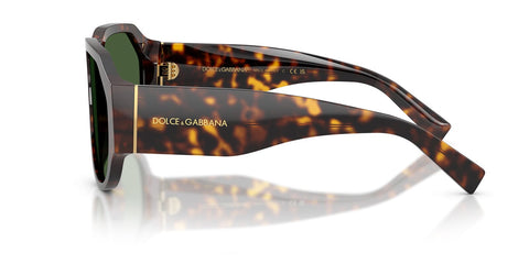 Dolce&Gabbana DG4504 502/71 Sunglasses