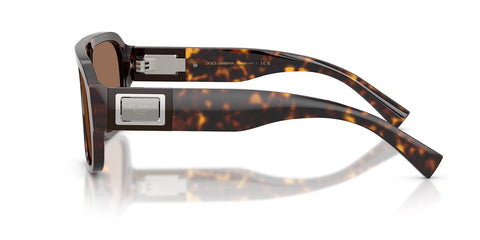 Dolce&Gabbana DG4506 502/73 Sunglasses