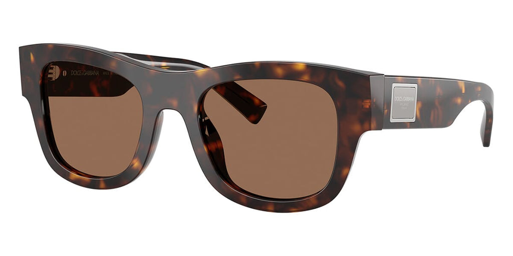 Dolce&Gabbana DG4509 502/73 Sunglasses