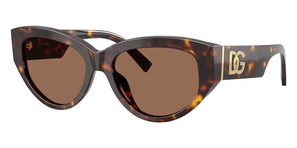 Dolce&Gabbana DG4514 502/73 Sunglasses