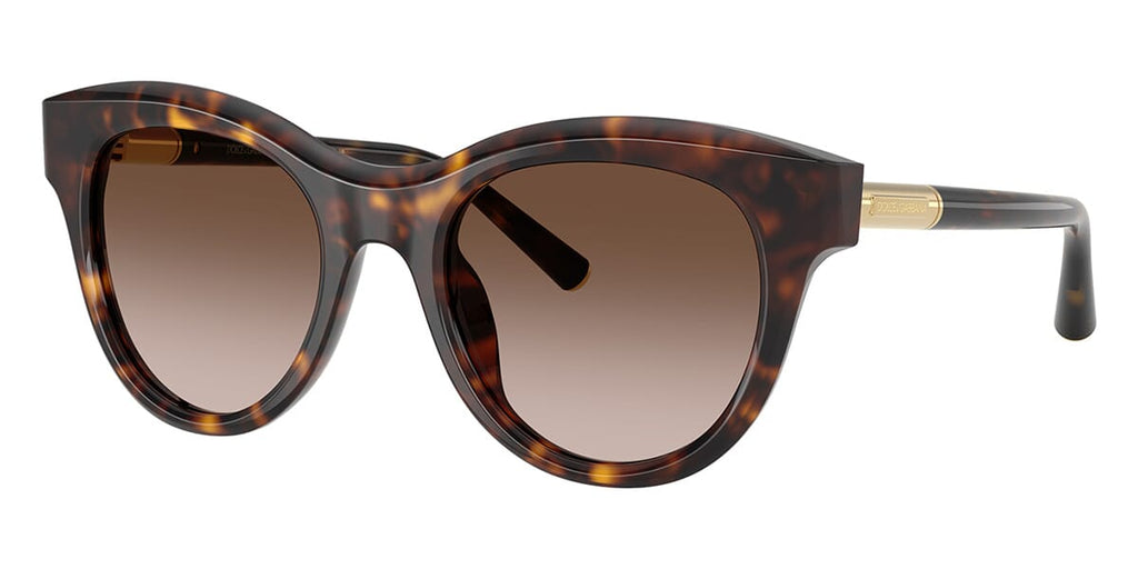 Dolce&Gabbana DG4518 502/13 Sunglasses