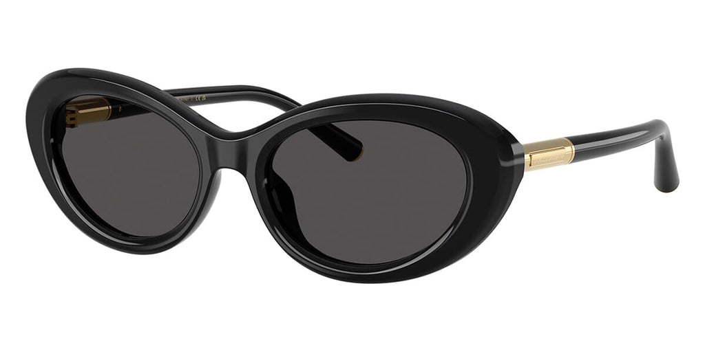 Dolce&Gabbana DG4519 501/87 Sunglasses