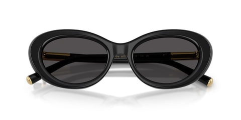 Dolce&Gabbana DG4519 501/87 Sunglasses