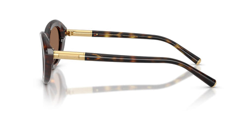 Dolce&Gabbana DG4519 502/73 Sunglasses