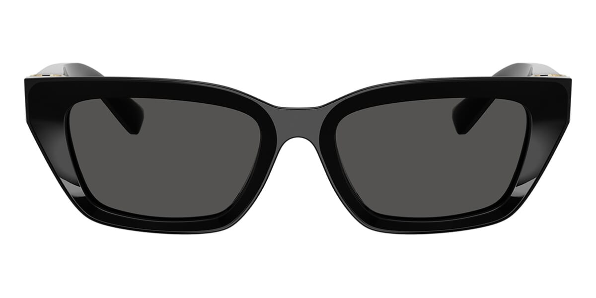 Dolce&Gabbana DG4532 501/87 Sunglasses