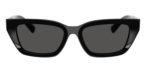 Dolce&Gabbana DG4532 501/87 Sunglasses