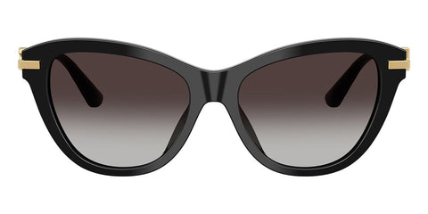 Dolce&Gabbana DG4534 501/8G Sunglasses