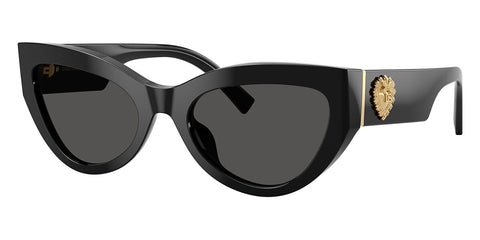 Dolce&Gabbana DG4536 501/87 Sunglasses
