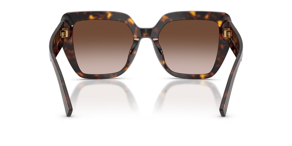 Dolce&Gabbana DG4538 502/13 Sunglasses