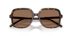 Dolce&Gabbana DG4539 502/73 Sunglasses