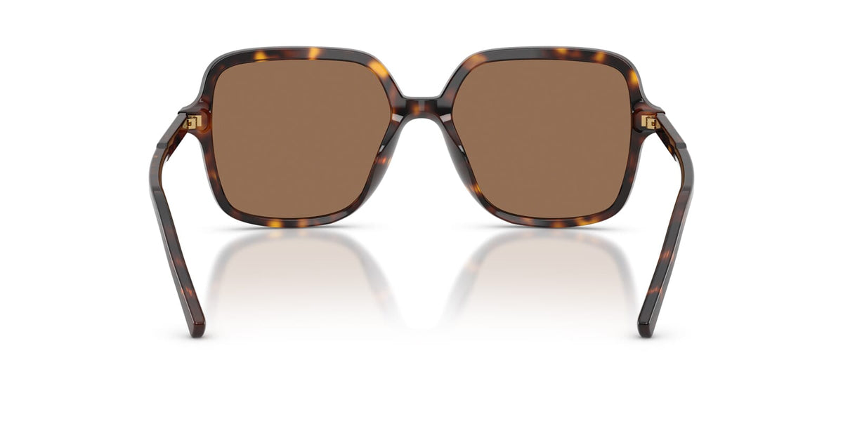 Dolce&Gabbana DG4539 502/73 Sunglasses