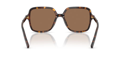 Dolce&Gabbana DG4539 502/73 Sunglasses