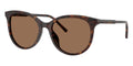 Dolce&Gabbana DG4540 502/13 Sunglasses
