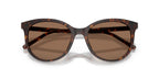 Dolce&Gabbana DG4540 502/13 Sunglasses