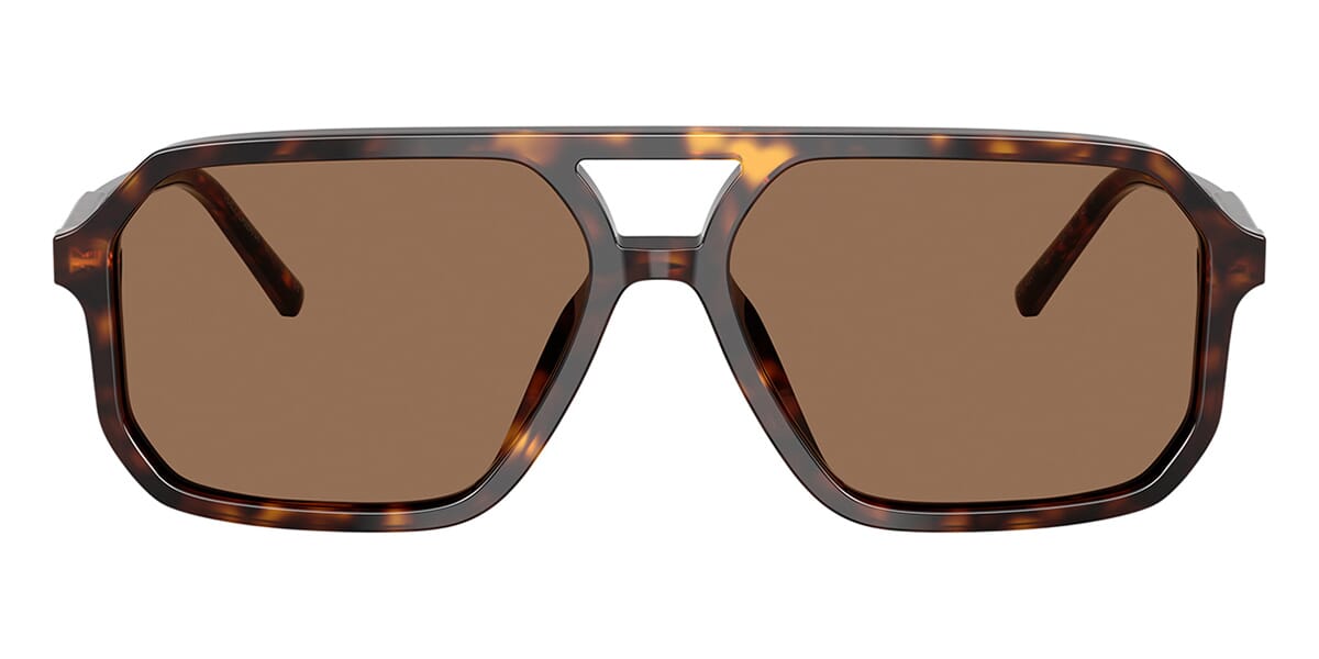 Dolce&Gabbana DG4541 502/73 Sunglasses
