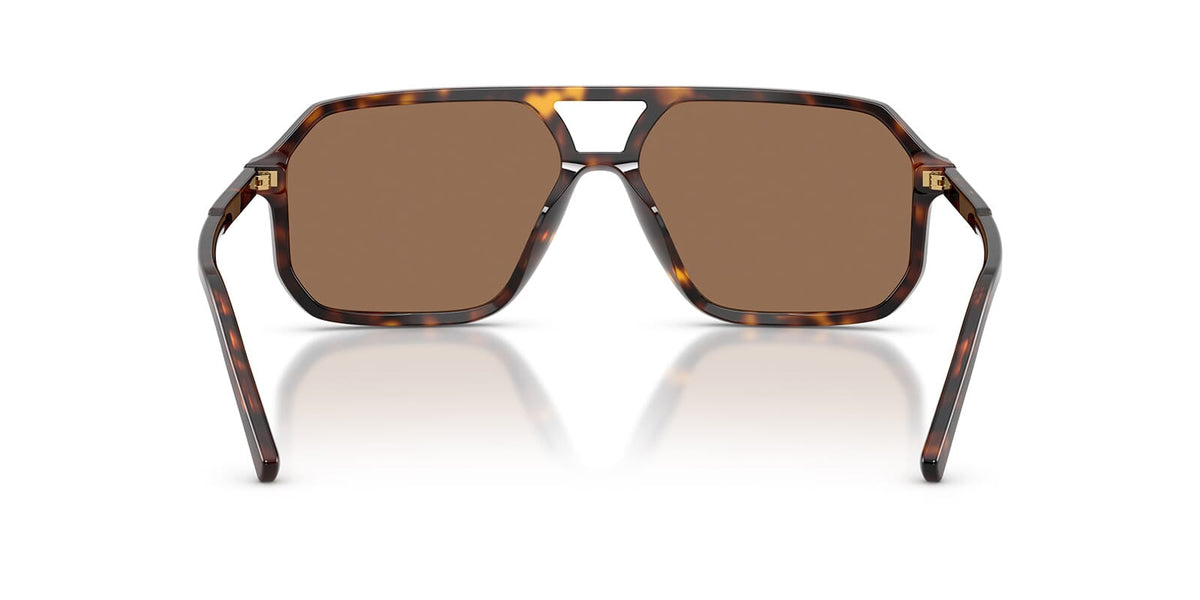 Dolce&Gabbana DG4541 502/73 Sunglasses