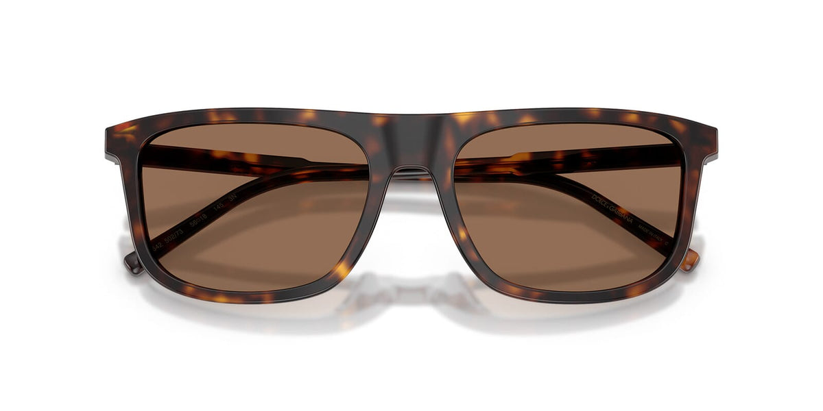 Dolce&Gabbana DG4542 502/73 Sunglasses