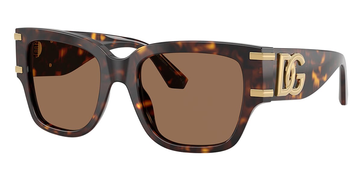 Dolce&Gabbana DG4563 502/73 Sunglasses