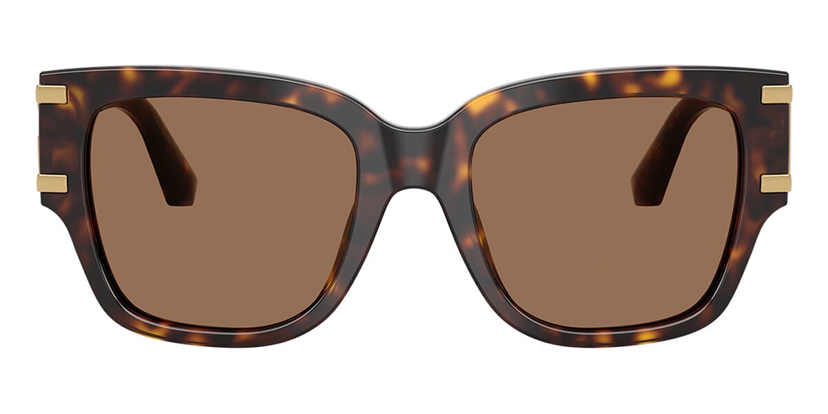 Dolce&Gabbana DG4563 502/73 Sunglasses