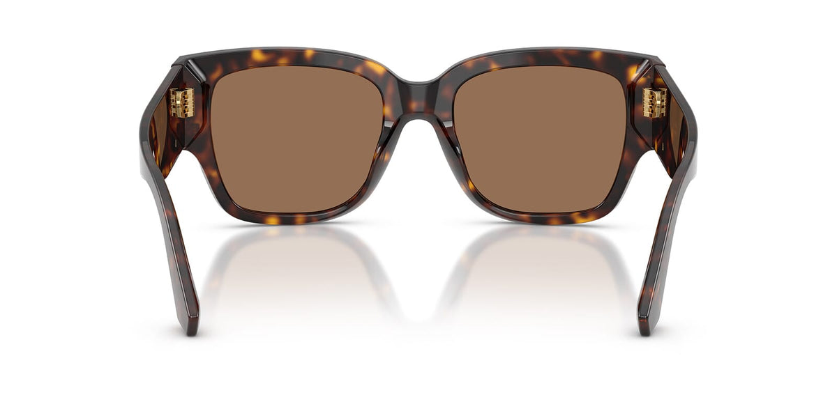 Dolce&Gabbana DG4563 502/73 Sunglasses