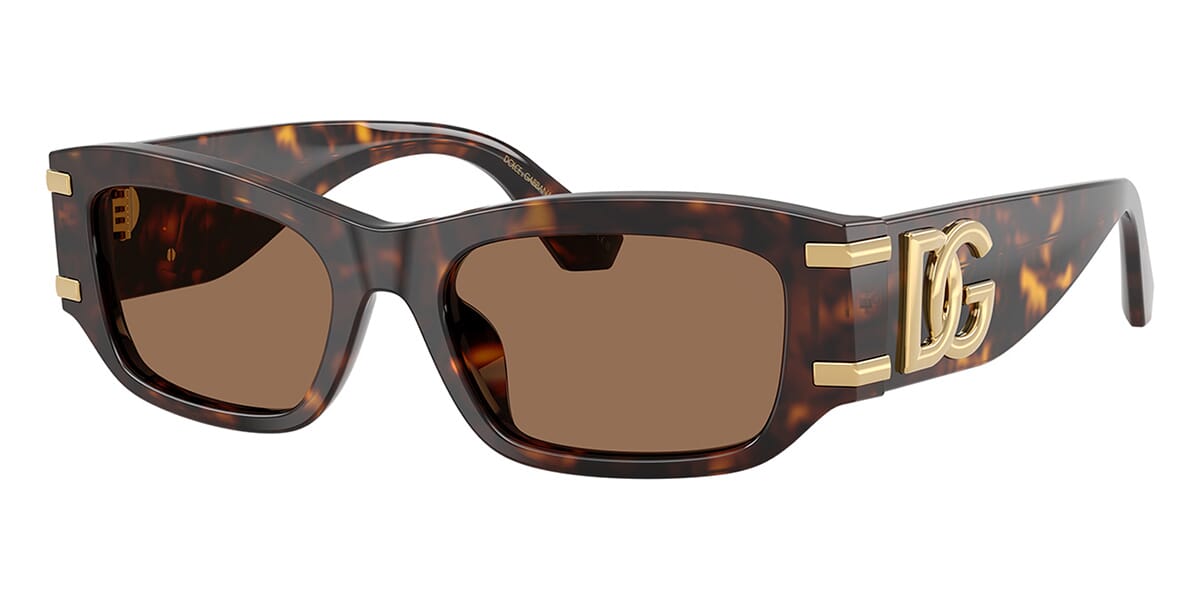 Dolce&Gabbana DG4564 502/73 Sunglasses