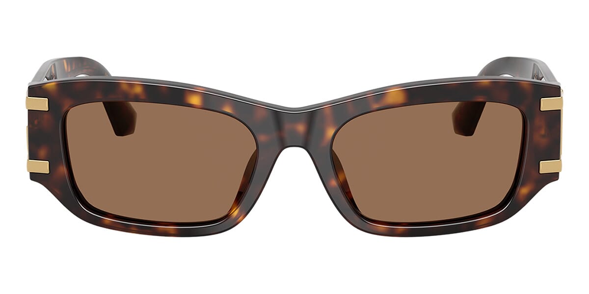 Dolce&Gabbana DG4564 502/73 Sunglasses