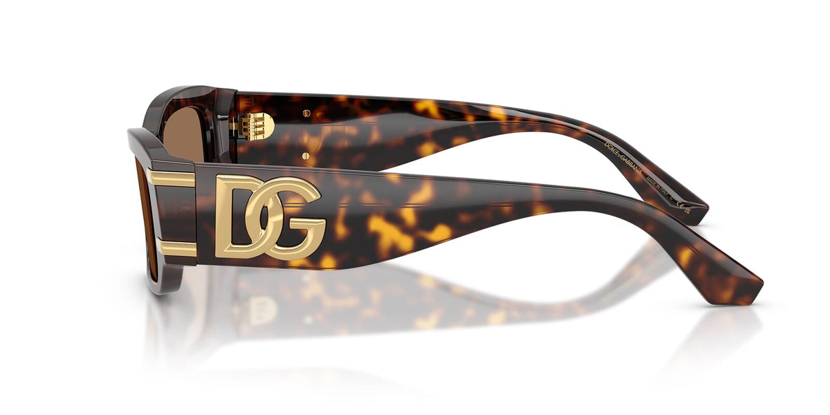 Dolce&Gabbana DG4564 502/73 Sunglasses