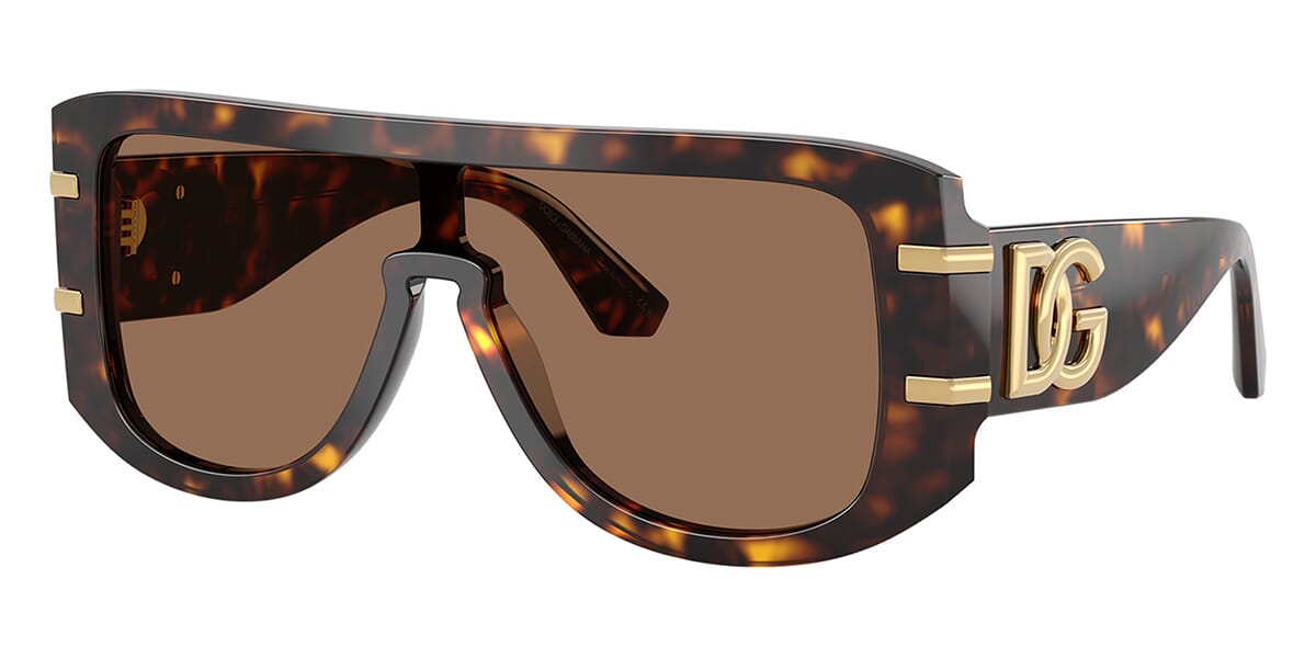 Dolce&Gabbana DG4565 502/73 Sunglasses