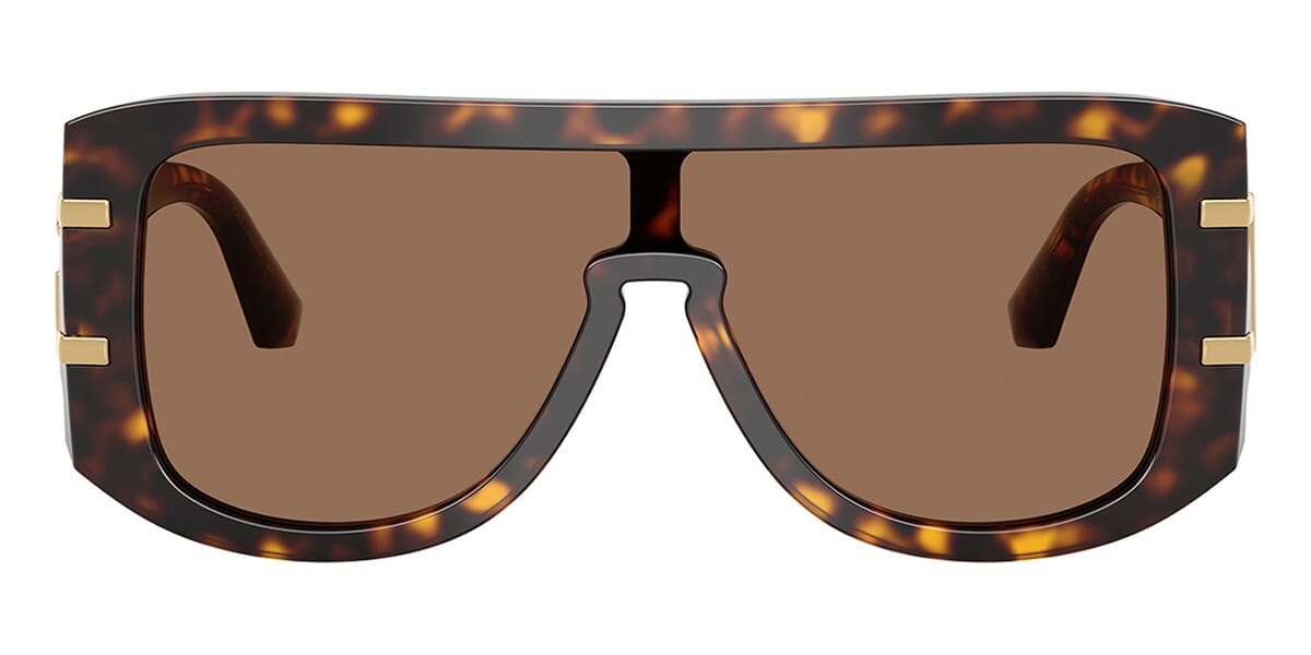 Dolce&Gabbana DG4565 502/73 Sunglasses