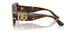 Dolce&Gabbana DG4565 502/73 Sunglasses