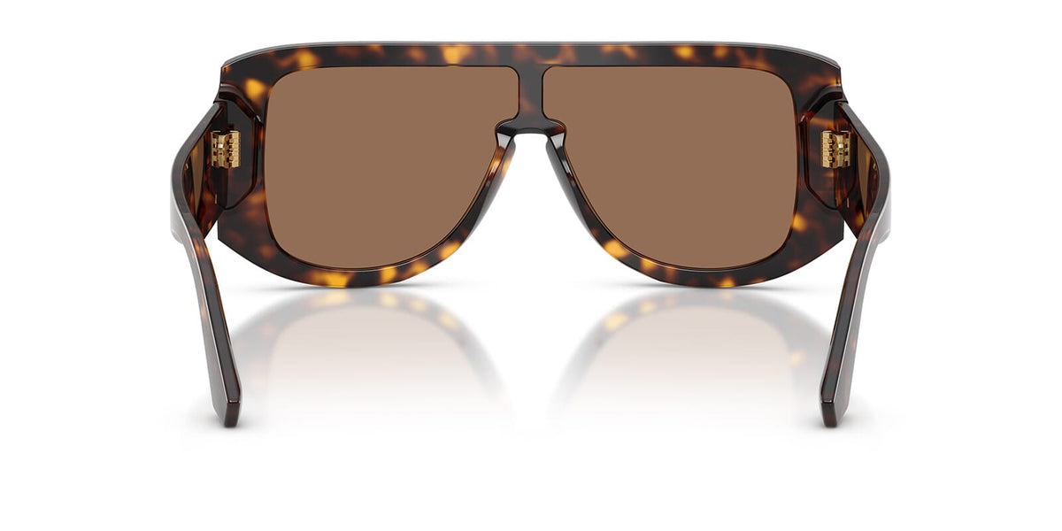 Dolce&Gabbana DG4565 502/73 Sunglasses
