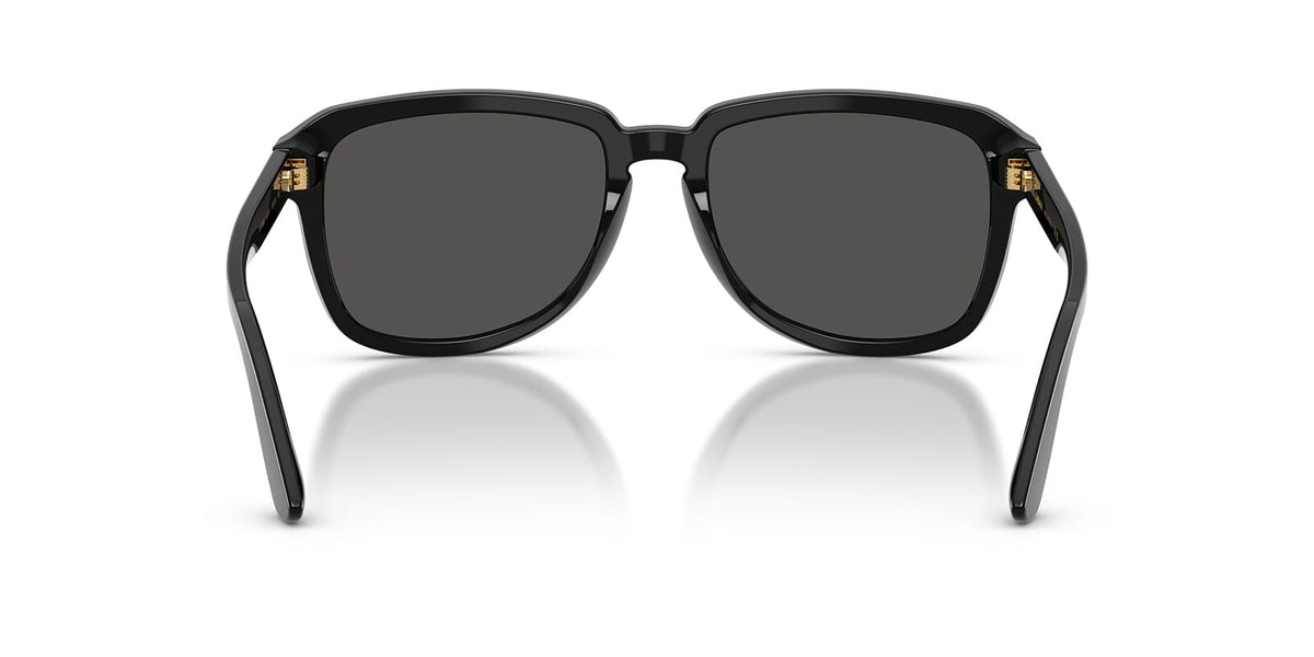 Dolce&Gabbana DG4566 501/87 Sunglasses
