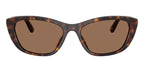 Dolce&Gabbana DG4571 502/73 Sunglasses