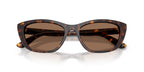 Dolce&Gabbana DG4571 502/73 Sunglasses